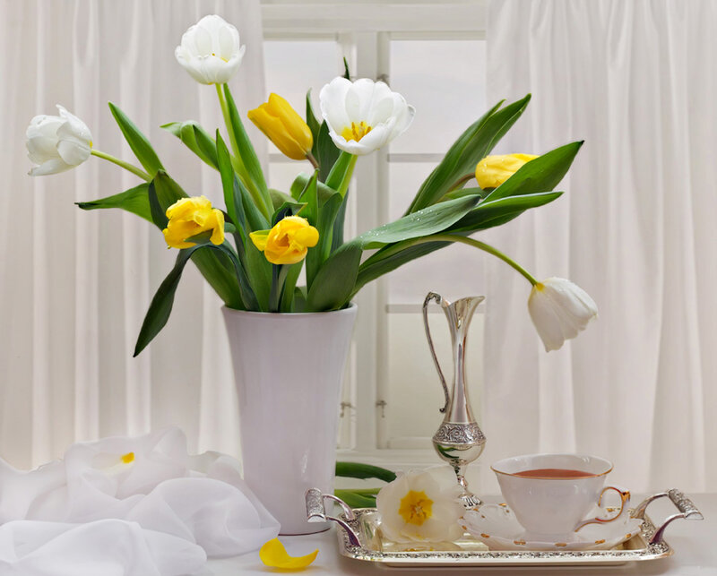 Tulips in a Vase — White, Serene, Morning