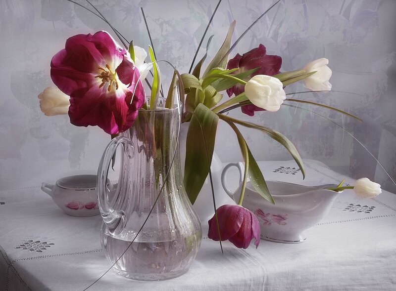 Tulips in a Vase — White, Serene, Photograph