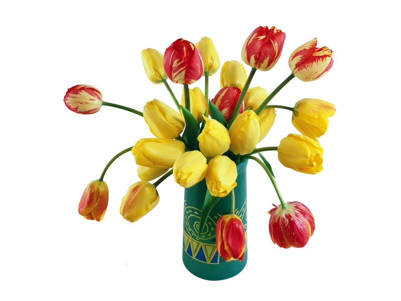 Tulips in a Vase — Yellow, Bright