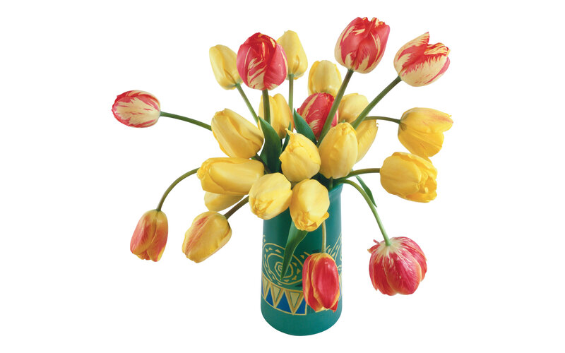 Tulips in a Vase — Yellow, Calm, Photograph, Flowers, Green Stems