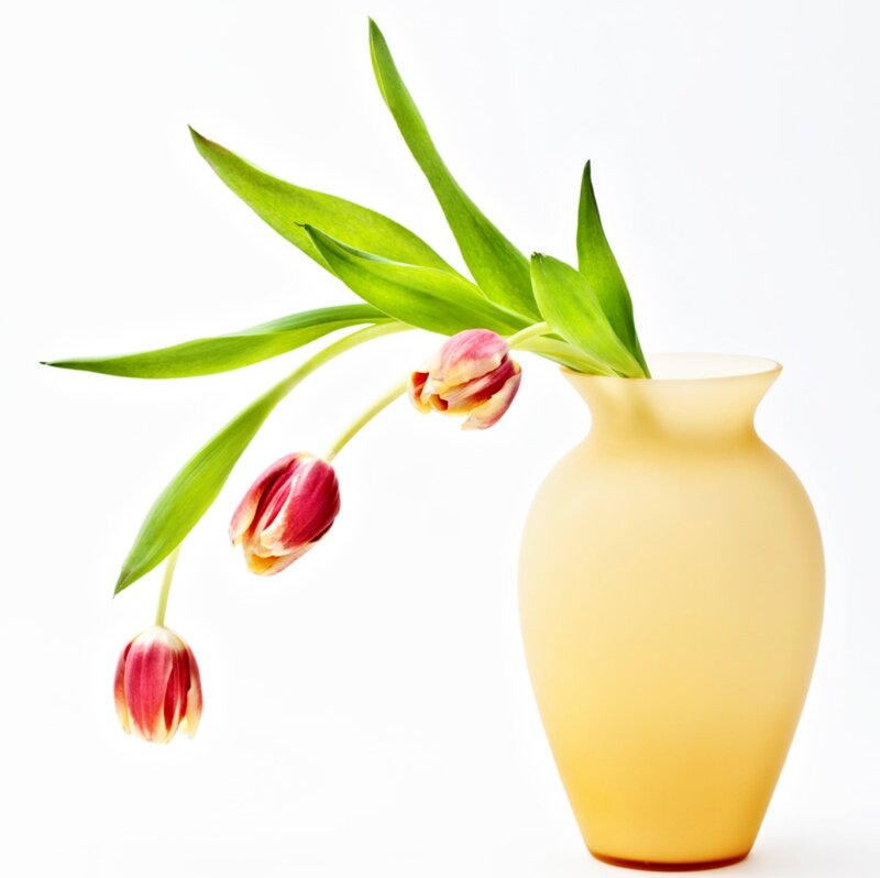 Tulips in a Vase — Yellow, Calm, Photograph, Flowers