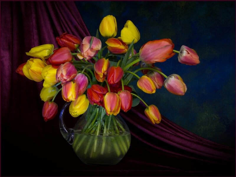 Tulips in a Vase — Yellow, Dramatic, Photograph, Curtain, Flowers