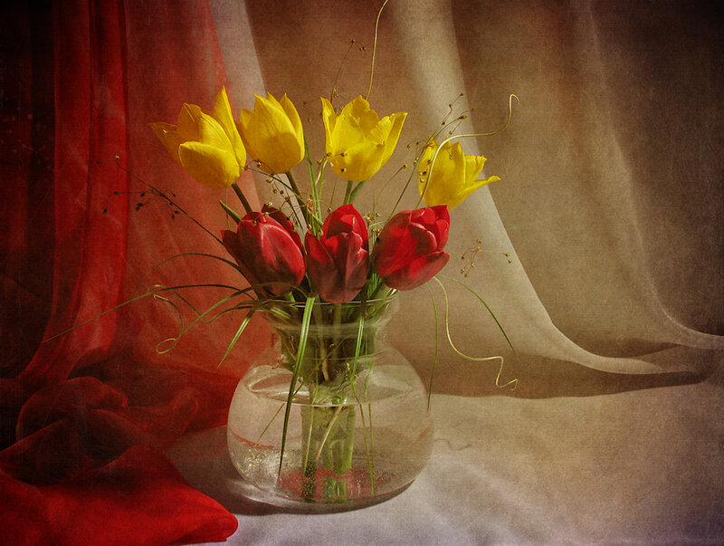 Tulips in a Vase — Yellow, Dramatic, Photograph, Curtain