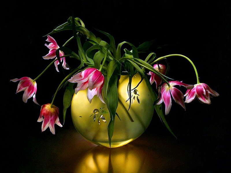 Tulips in a Vase — Yellow, Dramatic, Photograph, Flowers, Leaves