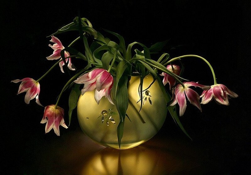 Tulips in a Vase — Yellow, Dramatic, Photograph