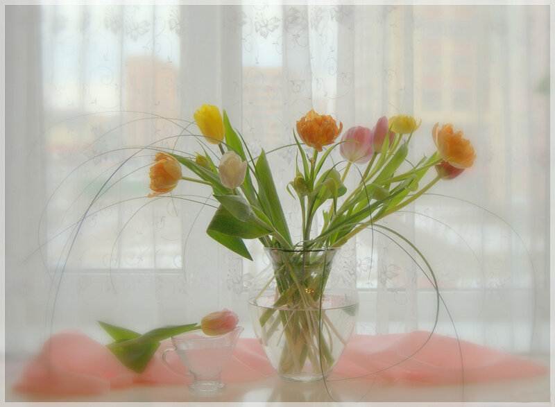Tulips in a Vase — Yellow, Serene, Morning, Photograph