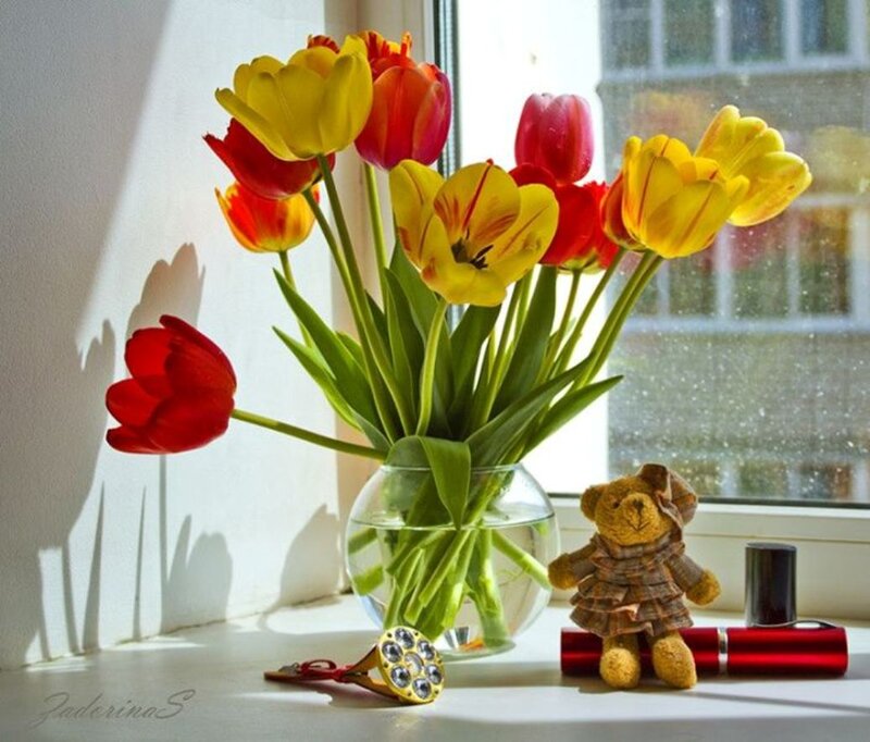 Tulips in a Vase — Yellow, Serene, Morning
