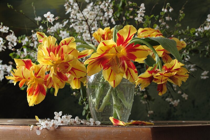 Tulips in a Vase — Yellow, Serene, Spring