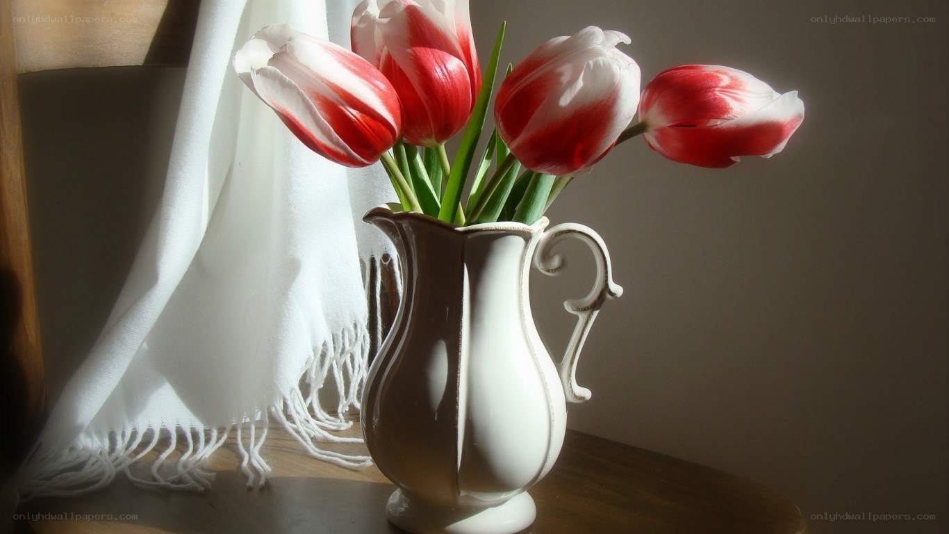 tulips in a white pitcher