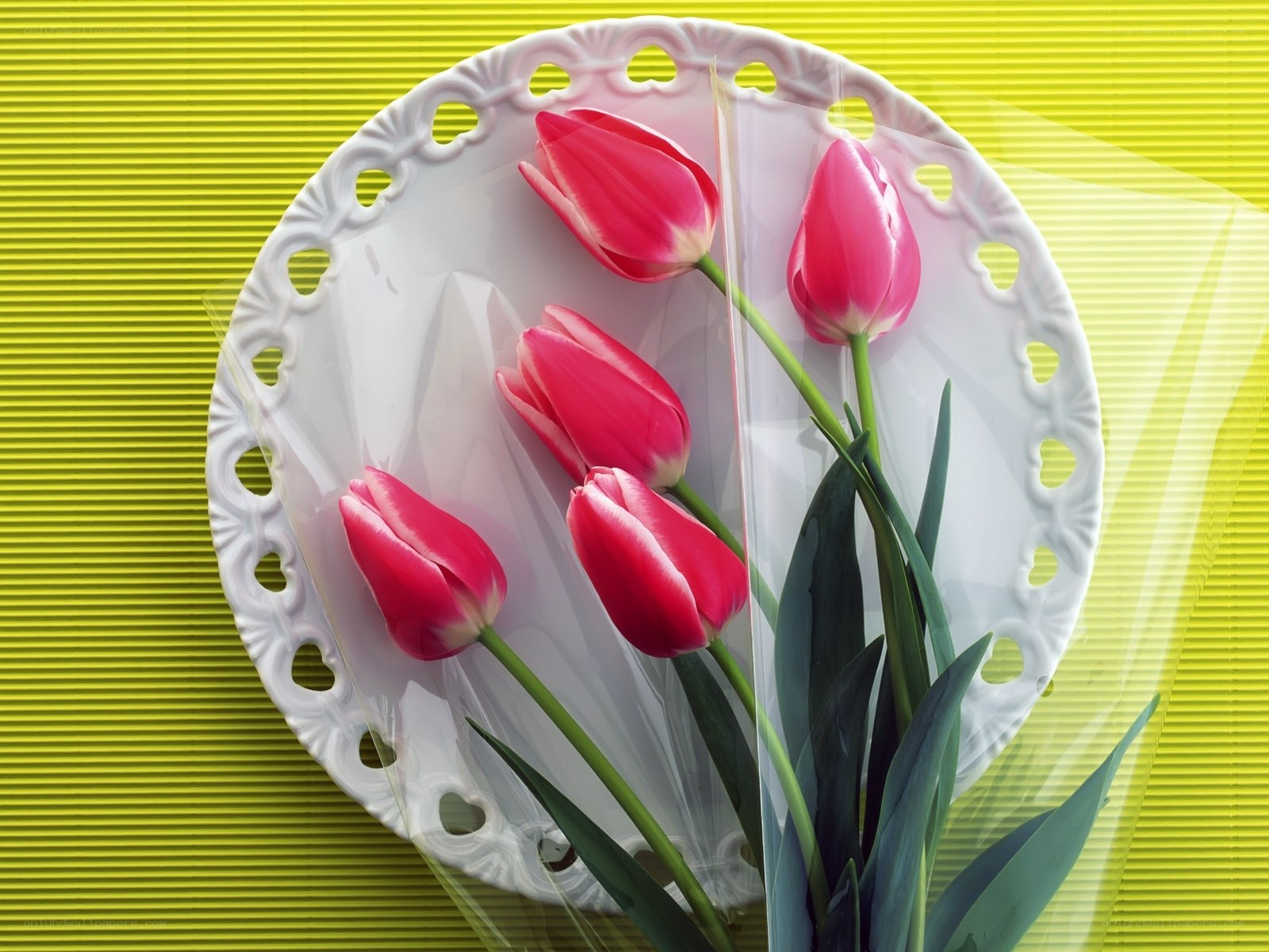 tulips in a white plate