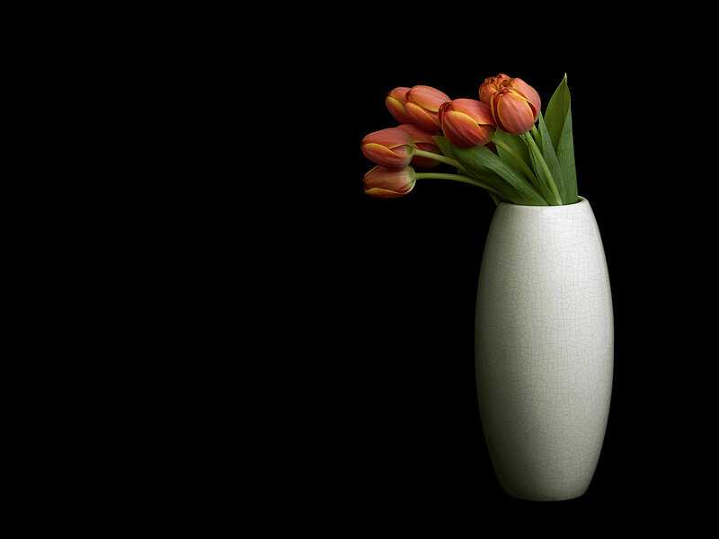 Tulips in a white vase