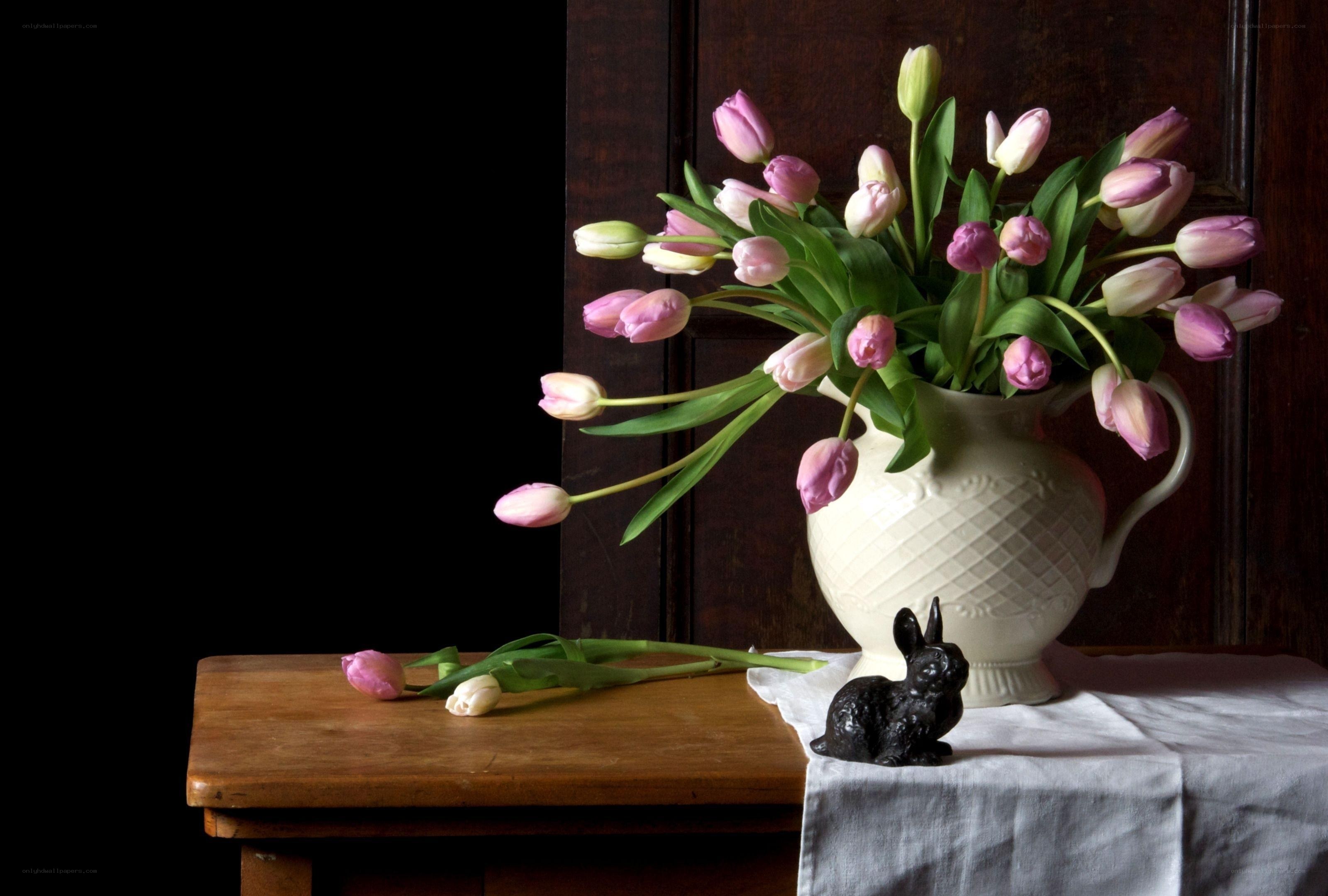 tulips in a white vase
