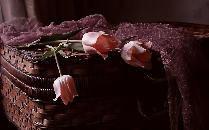 tulips in a wicker basket