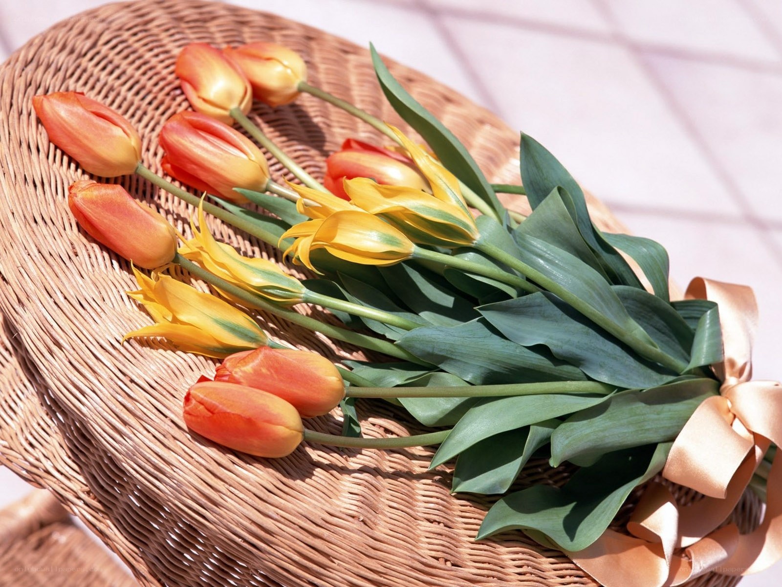 Tulips in a wicker basket