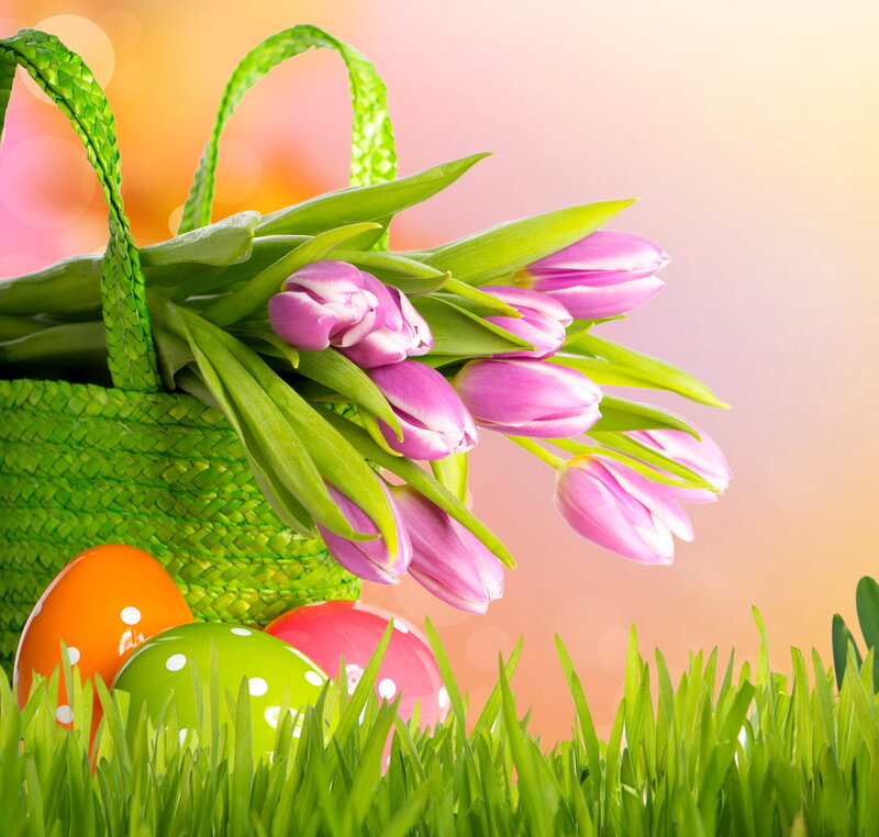 Tulips in Basket — Green