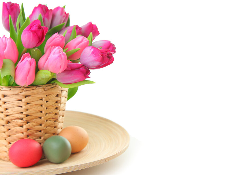 Tulips in Basket — Pink