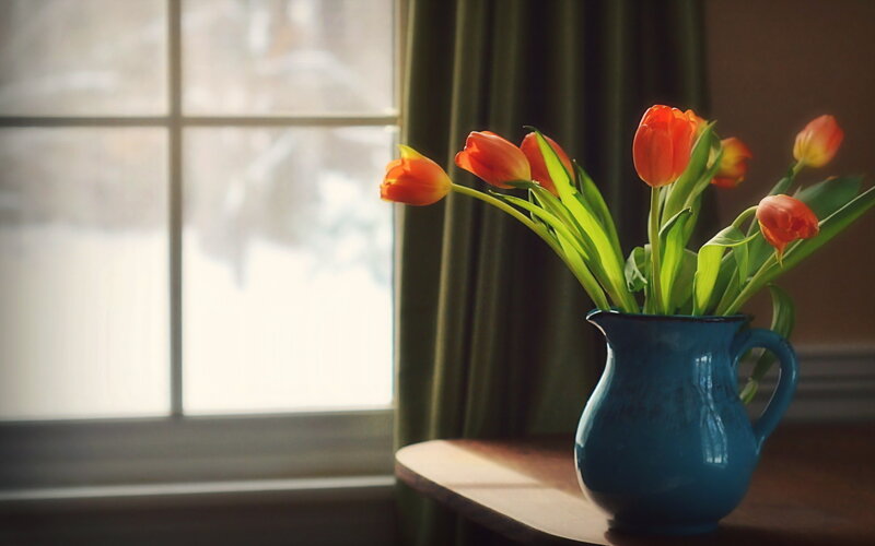 Tulips in Blue Pitcher