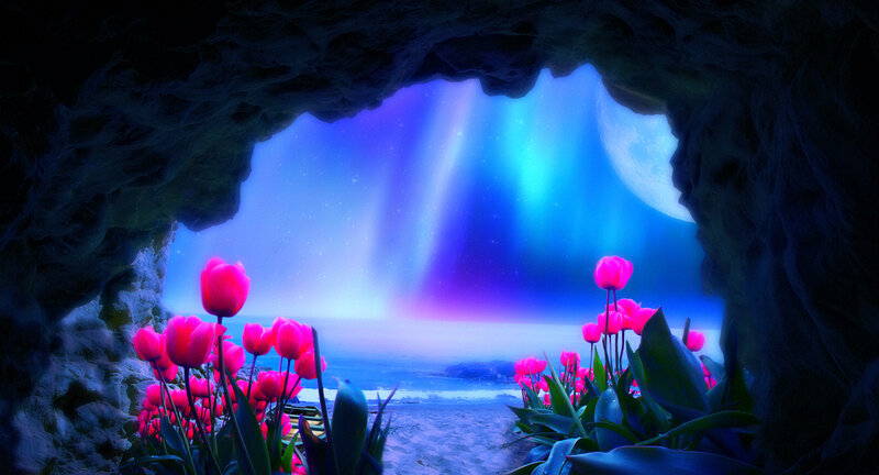 Tulips in Cave Opening