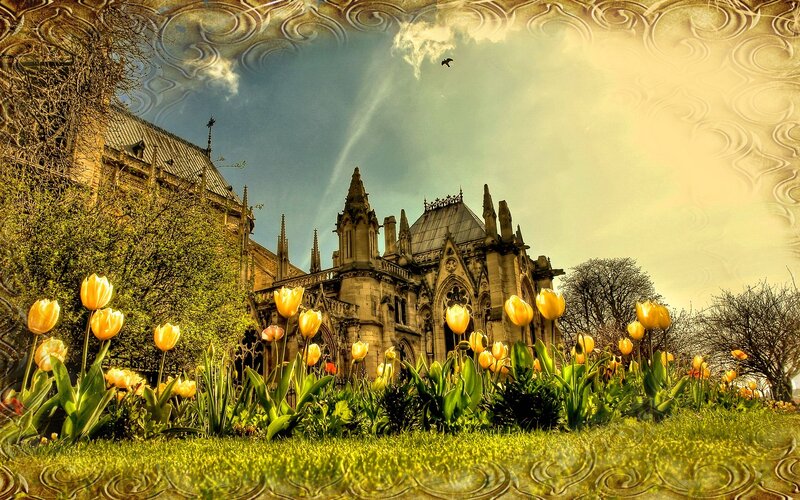 Tulips in Front of Cathedral