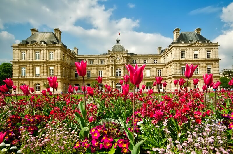 Tulips in Front of Palace