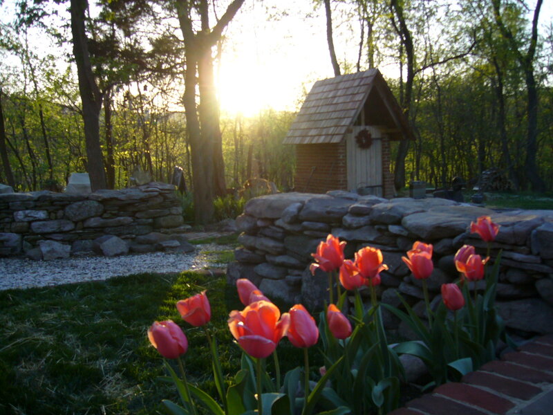 Tulips in Garden — Red