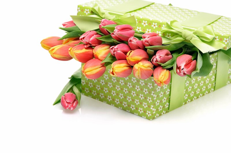 Tulips in Gift Box — Green
