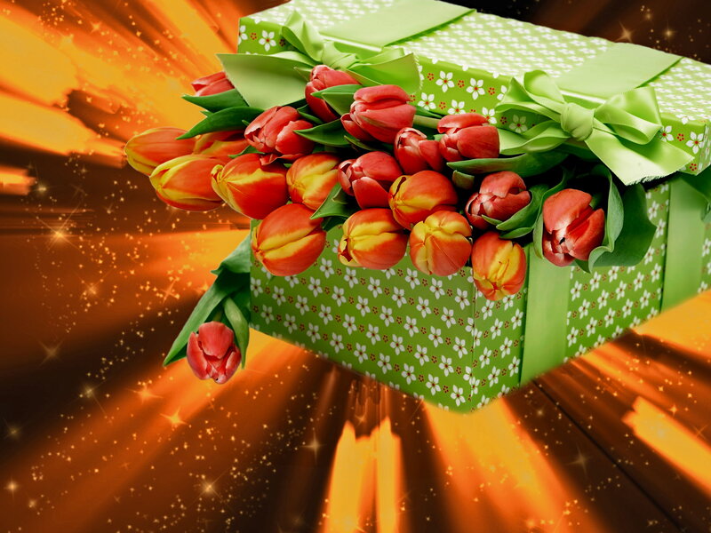 Tulips in Gift Box