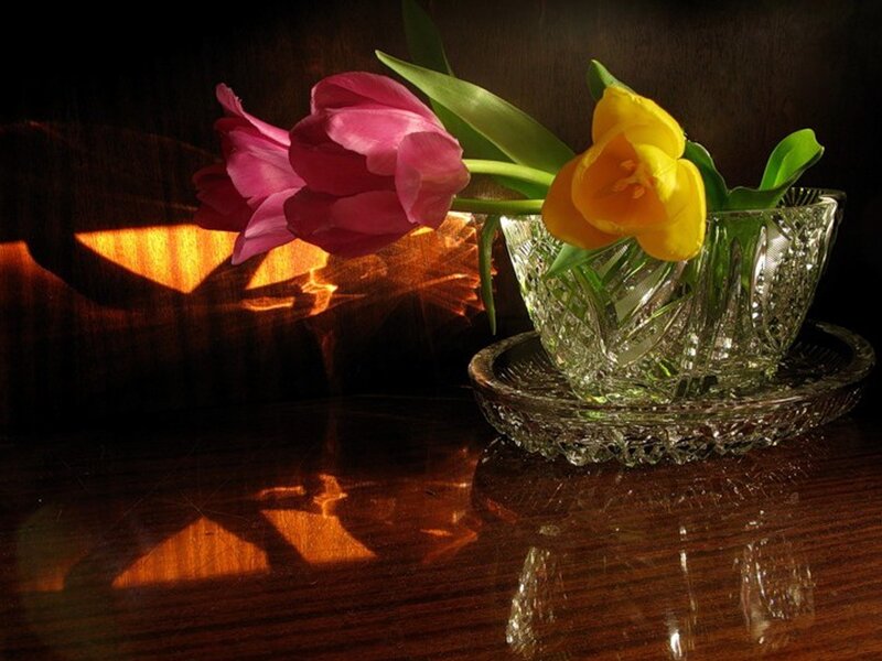 Tulips in Glass Vase — Brown