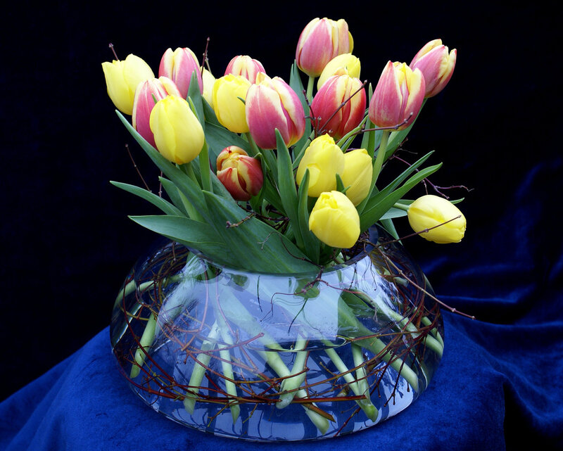Tulips in Glass Vase