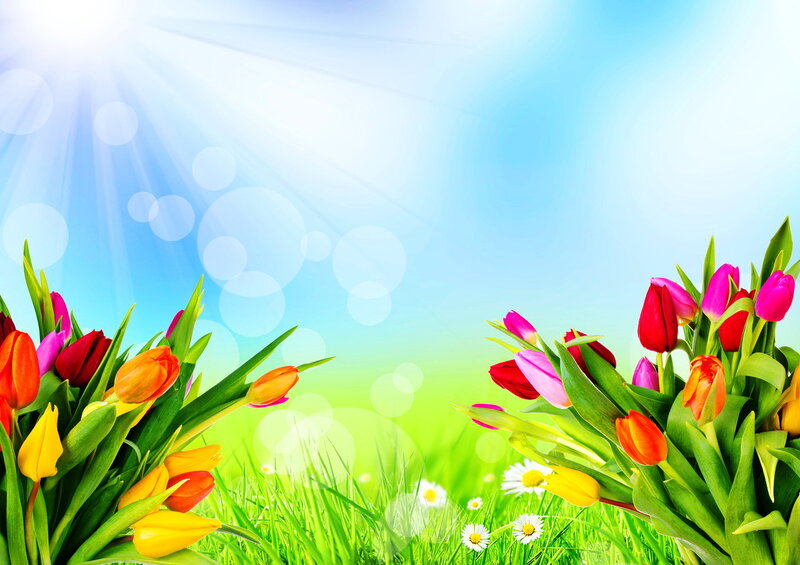 Tulips in Grass — Green