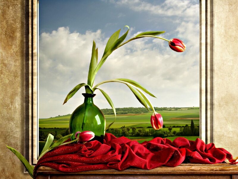 Tulips in Green Vase — Serene, Afternoon