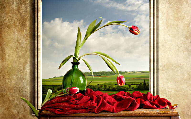 Tulips in Green Vase — Serene