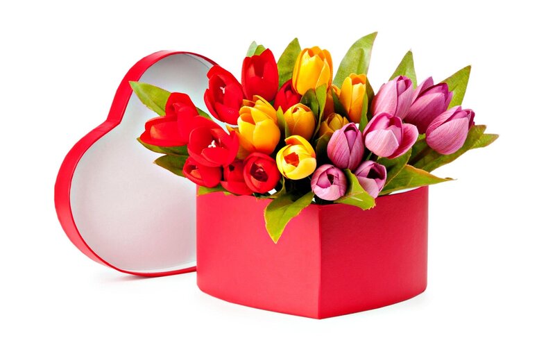 Tulips in Heart Box — Red