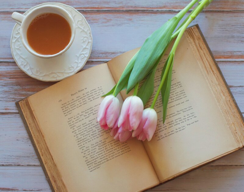 Tulips in Open Book — White, Serene