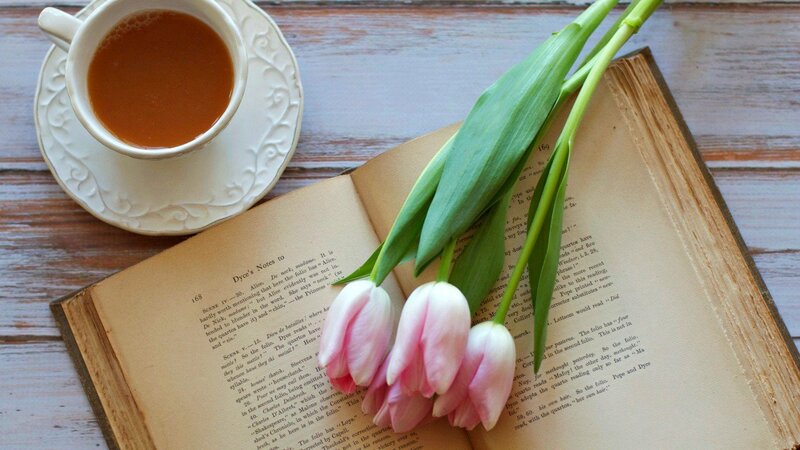 Tulips in Open Book — White