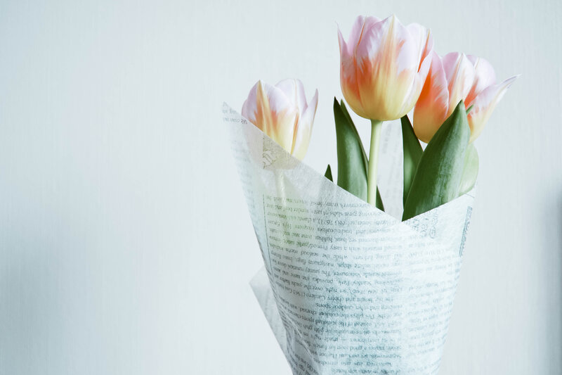 Tulips in Paper Wrap — White