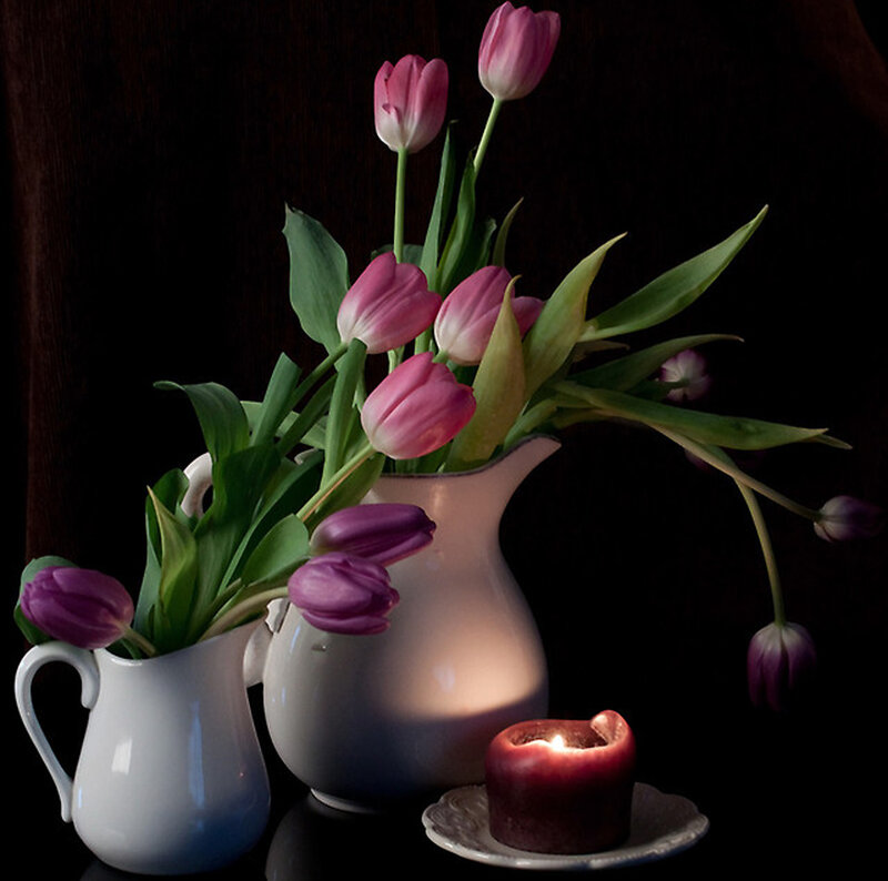 Tulips in Pitchers