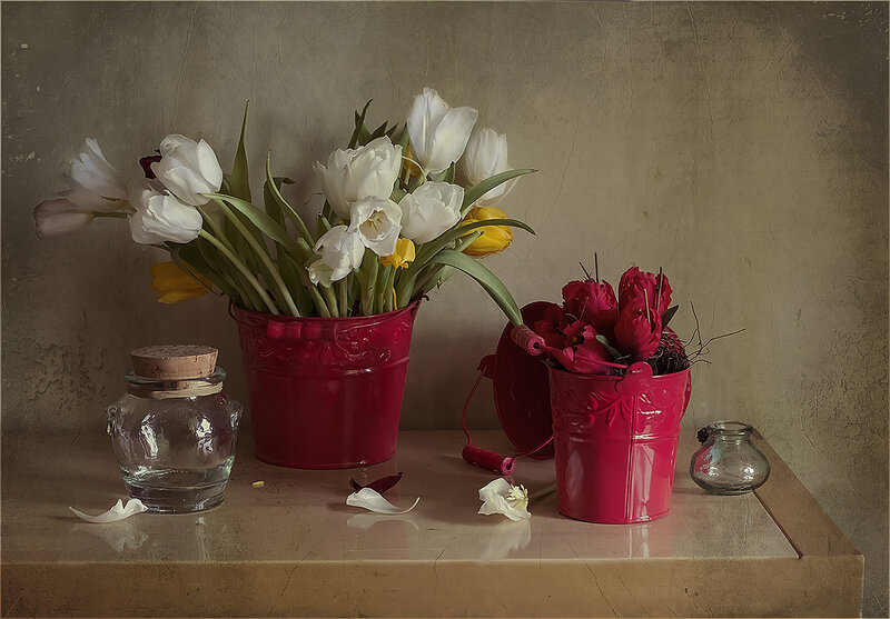 Tulips in Red Buckets