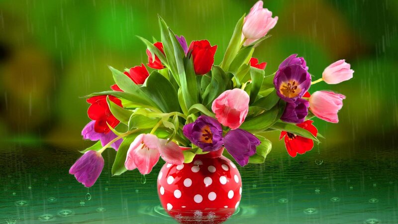 Tulips in Red Vase — Serene, Spring