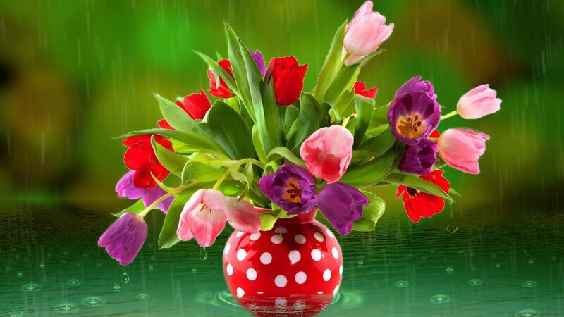 Tulips in Red Vase — Serene