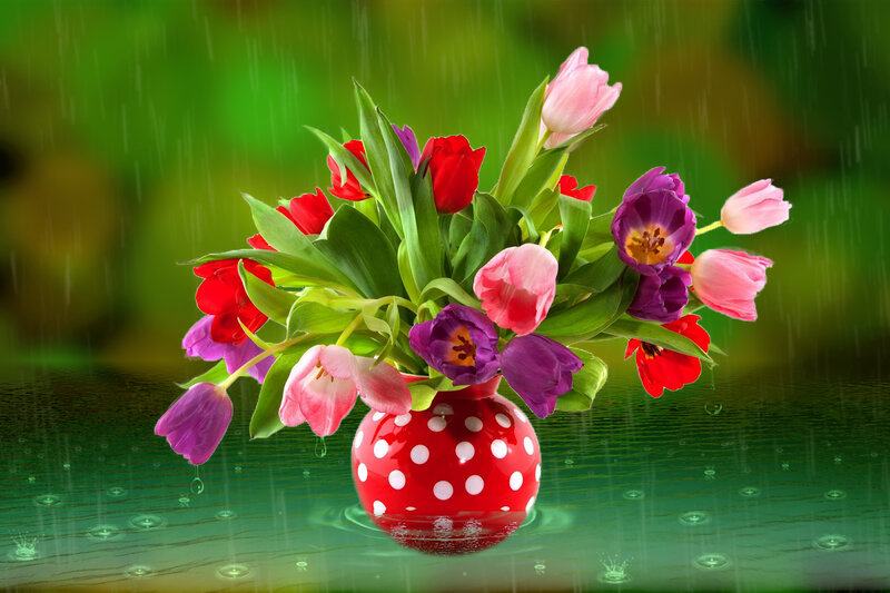 Tulips in Red Vase
