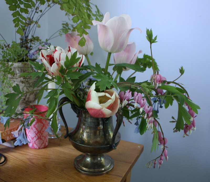Tulips in Silver Pitcher