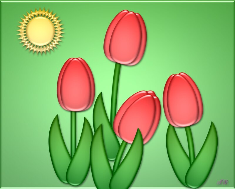 tulips in sun