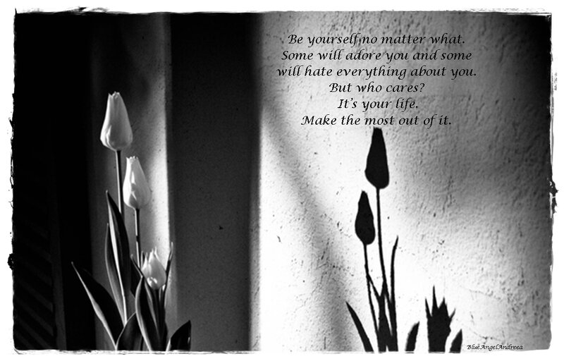 Tulips in Sunlight — Black