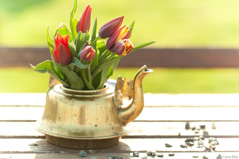 Tulips in Teapot — Green