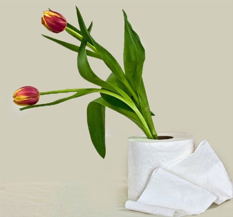 Tulips in Toilet Paper Roll