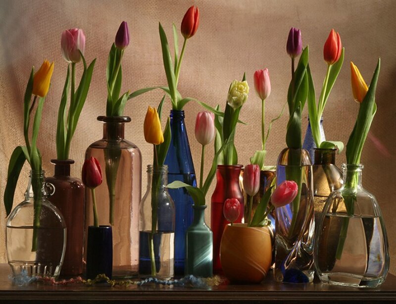 tulips in various vases