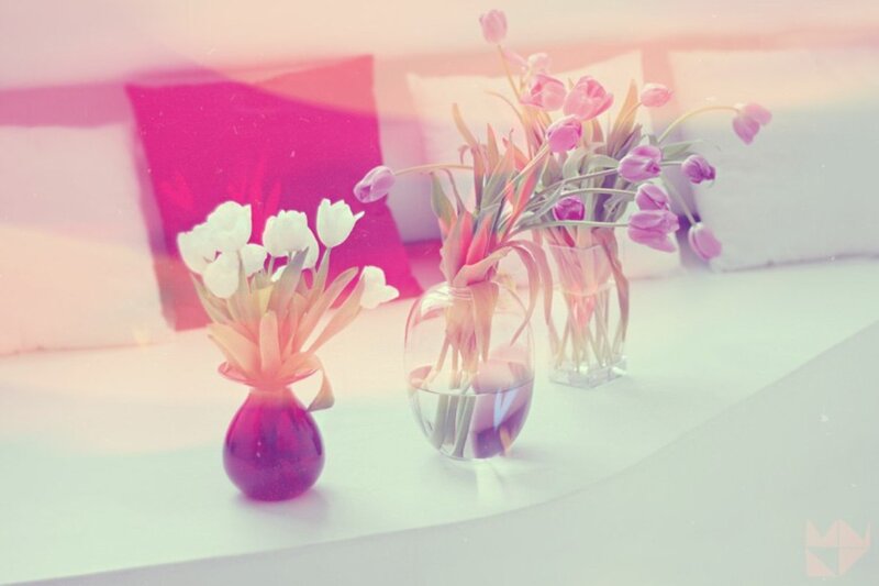 Tulips in Vases — Pink, Serene