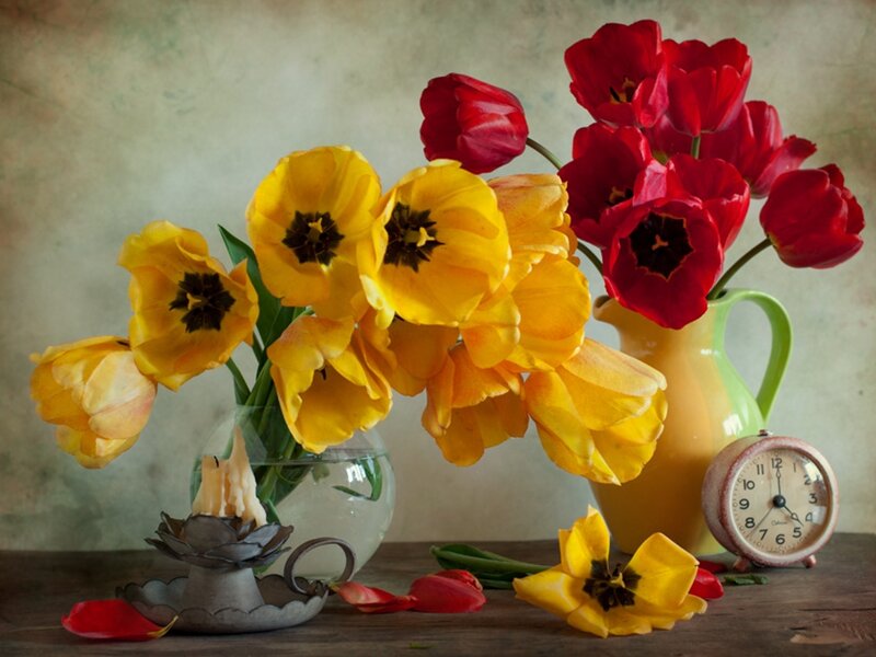 Tulips in Vases