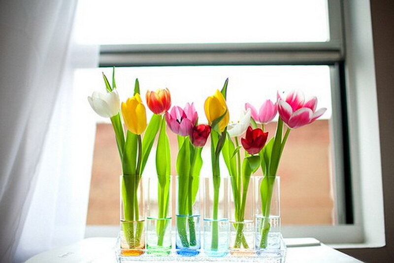 Tulips in Vases — White